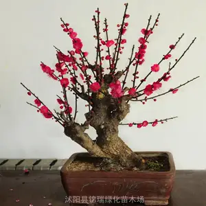 ��������÷�辰 ÷�� ��÷׮ ��÷�� ��ɰ÷����÷����÷