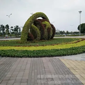 �������ܻ����͹����Ե������� �㳡��԰����