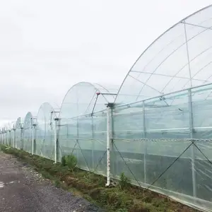 车厘子联动棚衢州柯城畜牧养殖大棚