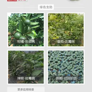 ��Ӧ�ݺ� ����ľù�� ȫˮ�ܿɵι����� 10��/�� ������������ֲ�ﲡ��
