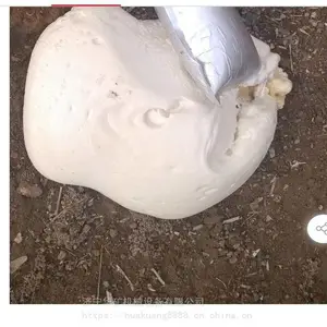 ���Ч���ȶ� �򵥿�� 500g������˹��״� ���ʱ��� ������