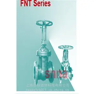 FNT系列闸阀现货 美国西纳SNNA阀门