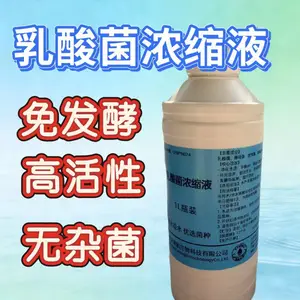 乳酸菌浓缩液原粉发酵剂em菌水产养殖专用调水净水浓缩高活菌砖益生菌