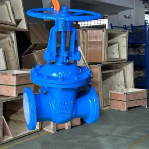 Z41F46-10C/16C 衬氟闸阀 铸钢衬四氟 手动耐酸碱防腐蚀南高阀门