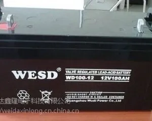 广东***蓄电池WD12-24 /12V24AH精选产品