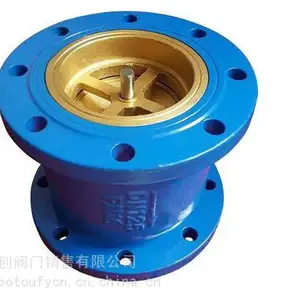 沧州泊头HC41X消声止回阀