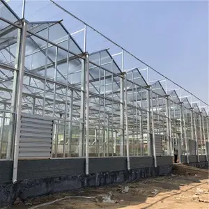 ���ϲ������Ҵ���Ǽ� ������̬�������Ҵ��ﲣ�����Ҷ���Ǯ ̩���������Ҵ������