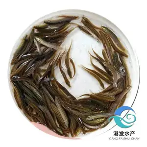 ��������ֳ���� �����繩Ӧ �㶫������ �󹺸�Ч��������