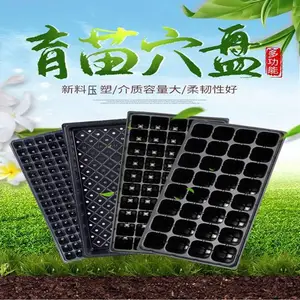 蔬菜育苗穴 PET塑料育秧穴盘 工厂化种植塑料制品 恒冷