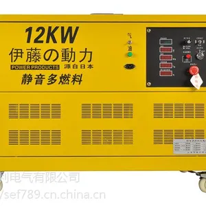 上海伊藤12kw汽油燃气发电机组