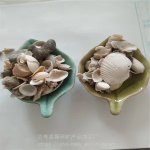 优质珊瑚沙 珊瑚石 底砂碎 珊瑚砂 鱼缸滤材 珊瑚骨
