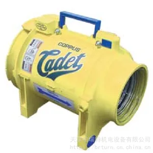 COPPUS�� ���ڷ�� CADET���ķ�� ���ڵ綯��� VEP4