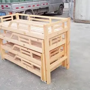 ������Ӧ�׶�԰�Ҿ� ѧУ���а��ͯ������ľ�ʴ�
