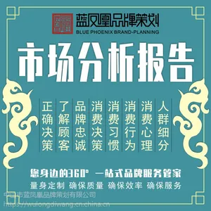 中山蓝凤凰品牌策划可行性分析报告项目可研报告可行性研究报告策划撰写写作