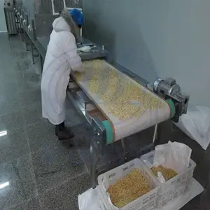 浩铭微波杀虫机(虫卵杀灭箱)