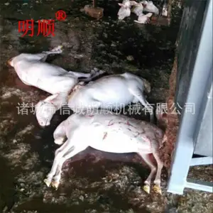 ������ë�� ����ɽ����ë�豸 ��Ƥ����ë�� ����ë�� ��ȥë��