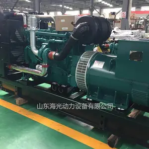 250ǧ��Ϋ������ŷŷ���� 250KWΫ����ͷ���� ���WP10320E350