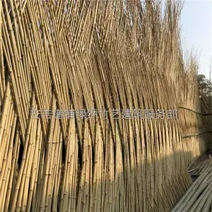 定制防腐竹篱笆 田园风格竹建筑 庭院竹子栅栏 农庄竹围栏