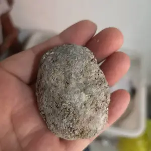 中药马宝批发 马结石的功效和
