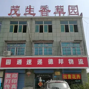 安徽茂生香草有限公司