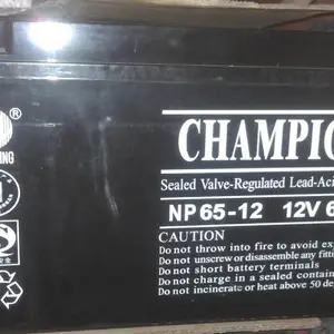 ***蓄电池 NP55-12(12V55AH)代理商