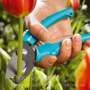 �¹����ڼζ���8754��֦����ͥ԰��԰�չ����̻�������֦����ժ��