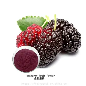 桑葚粉 干燥果实浓缩 桑椹提取物 120目粉末 常年足量供应