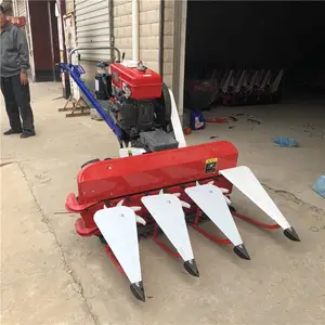 ������С���ո�� ���1����Ҷ�ո�ɹ�� ������ޣ��Ƭ��