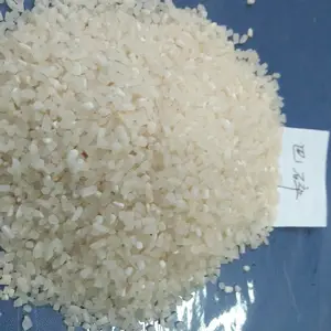 巴基斯坦碎米