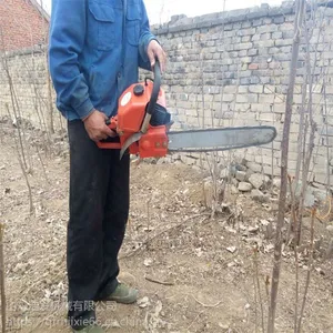 �Ͻ�ֲ���80���ֳ���ݾ����� ��԰�Ӻ����������