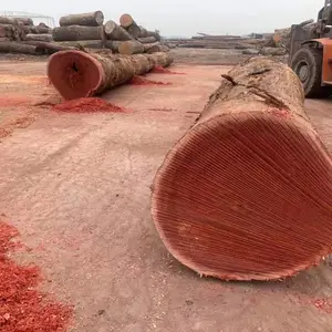 ��԰�ذ� ͭ�ʷ��޲��ܸ� �������ܸ��������