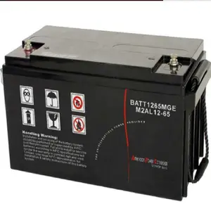 ÷����������12V6***H M2AL12-65 ��ά��Ǧ��
