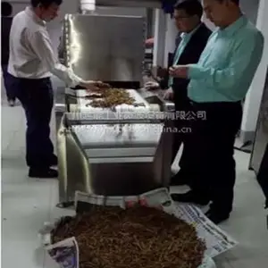 党参微波烘干设备 党参人参快速干燥杀菌设备 定做流水线式党参烘干杀菌设备