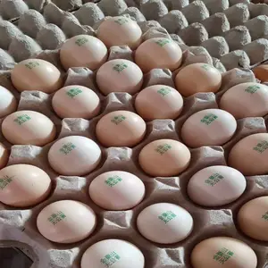 ��ӦUV�����-��˶LS-U324C������UV�����