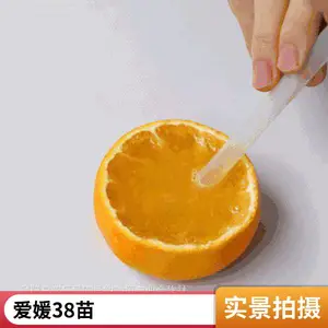 �ļ����̸����� 1����С�� �������� ֧�ֶ��� ���ҹ�Ӧ