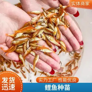 �۷�ˮ�������罨������ ������ǿ����ʡ��Ƭ������ֳ��ѡ����