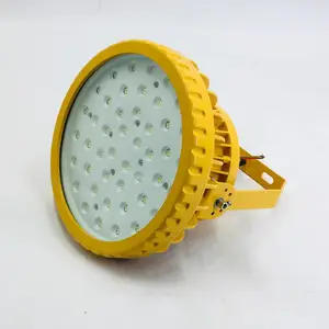 �����IICT6LED���������_100WLED��������Ƶ�_220V