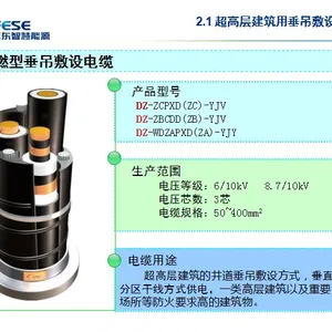 ���߲� ��װר�õ��� DC-ZCPXD-(ZC)-YJV,10KV