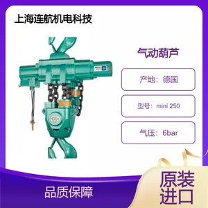 JDN气动葫芦mini 250 德国制造,变速先导控制系统设计