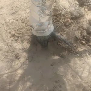 ���ɾ������ϵͳ DF-ZJL ���� ���� ��ľ�� �����κ� 4G���� ����ʽ/����ʽ