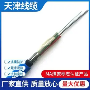 煤矿用阻燃铠装光缆8芯矿井信号光纤电缆单模防爆通信光纤