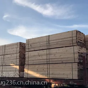 ���ݹ���ľ������Ǯ