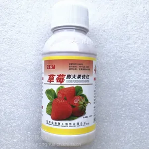 草莓自然催红汁多饱满口感香甜颜色均匀 安全无激素无畸形果空心果