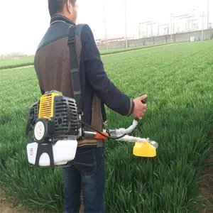 ԰�ֲ�ƺ���ݻ� ���Ϳ��ĳ��ش�ݻ� ����һ�ߵ��ո��