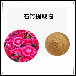 沃特莱斯生物 石竹提取物10:1 浸膏粉 水溶 喷雾干燥工艺