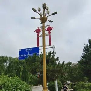 6米太阳能路灯高杆灯单臂双臂市电路景观灯草坪灯