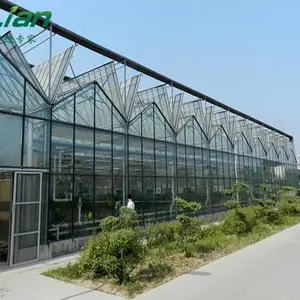 温室大棚的种类