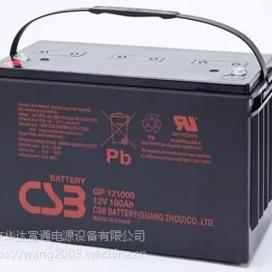 CSB蓄电池GP12170（铅酸）台湾进口电池/含安装费用