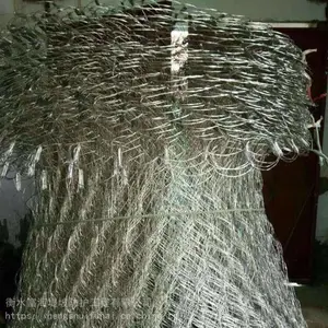�������Ҹ���ֱ�� ���������Ͻ����� й��ӵ��������˿����