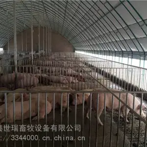 养猪大棚施工建设 大型养猪场搭建 养牛棚安装